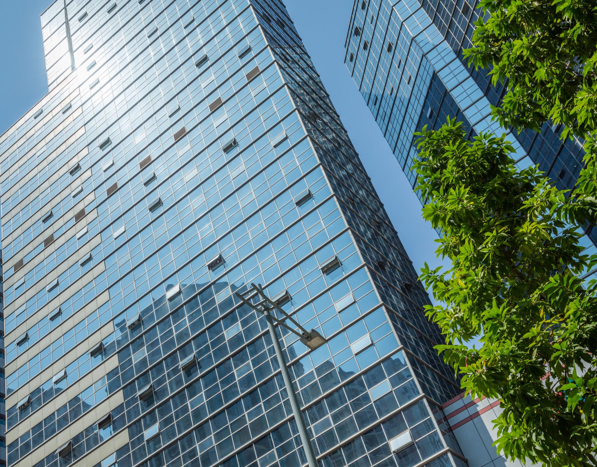 Detail shot of modern architecture facade, Smarter EPC, building, with green trees and clear sky